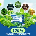 rodent-mouse-repellent-24-pack-peppermin-4.jpg