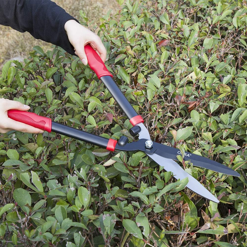 oara-garden-hedge-shears-fortrimming-bor-5.jpg