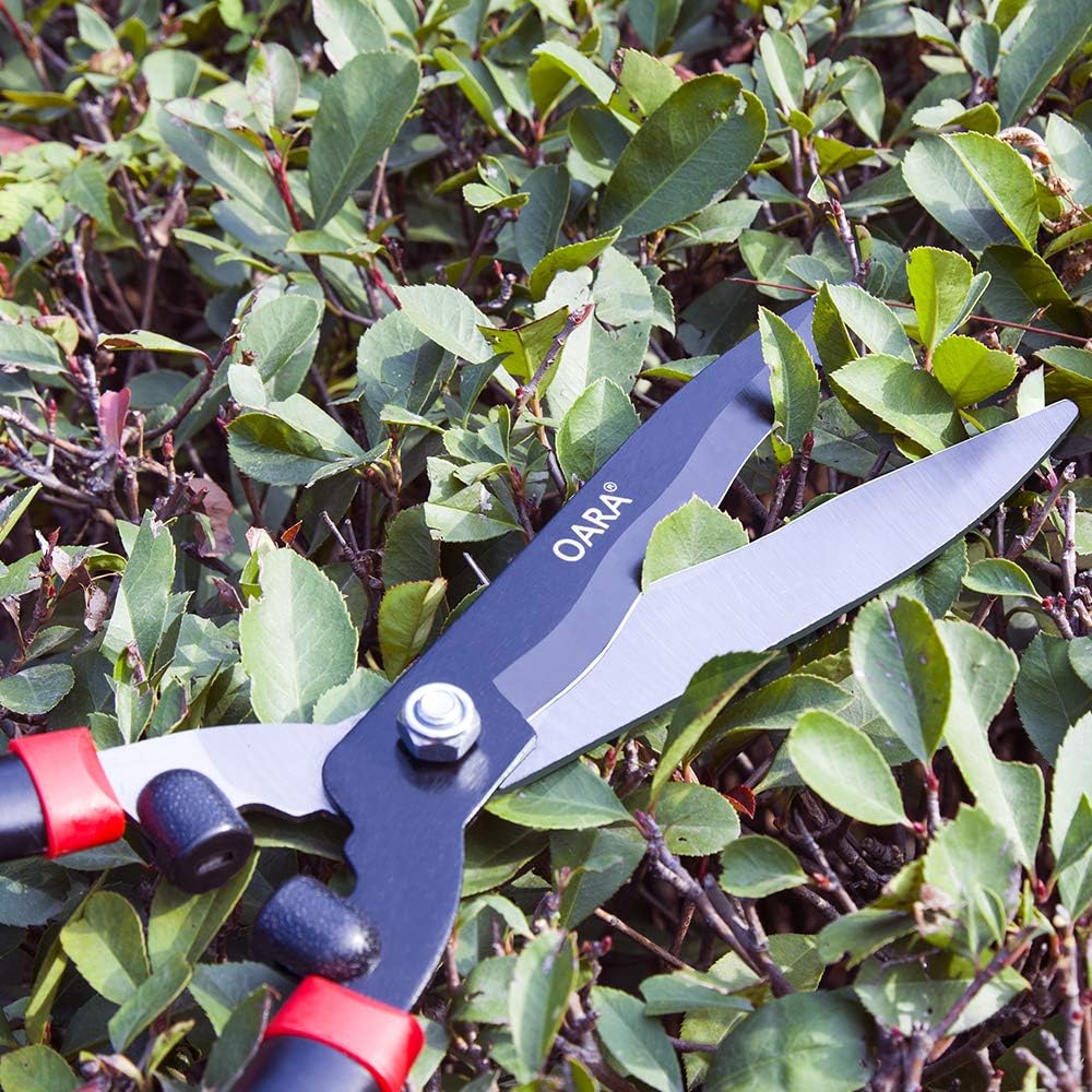 oara-garden-hedge-shears-fortrimming-bor-6.jpg