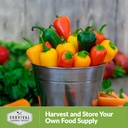 patio-snack-mix-mini-sweet-pepper-seeds--5.jpg