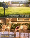 minetom-solar-string-lights-for-outside--2.jpg