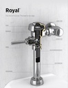 sloan-royal-186-exposed-manual-urinal-fl-2.jpg