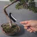 wazakura-bonsai-curved-head-brush-made-i-4.jpg