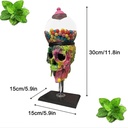 vadsbo-3d-skull-candy-dispenser-bubble-g-5.jpg