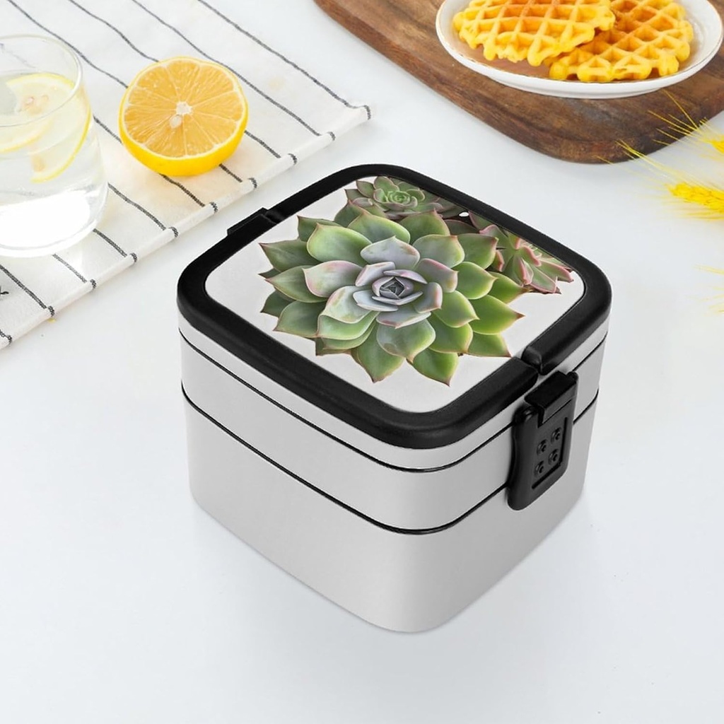 succulent-botanical-bento-box-reusable-d-6.jpg