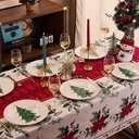 christmas-dinner-plates---set-of-6-10-in-2.jpg