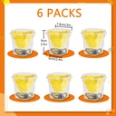 6-pack-reusable-fruit-fly-trap-non-toxic-5.jpg