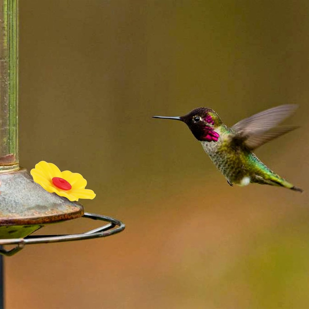 16-pieces-hummingbird-feeders-replacemen-6.jpg