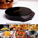 nuwave-precision-induction-cooktop-gold--2.jpg