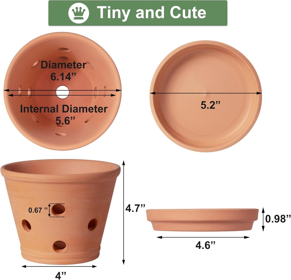 6-inch-terracotta-orchid-pots-with-holes-2.jpg