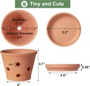 6-inch-terracotta-orchid-pots-with-holes-2.jpg