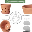 6-inch-terracotta-orchid-pots-with-holes-3.jpg