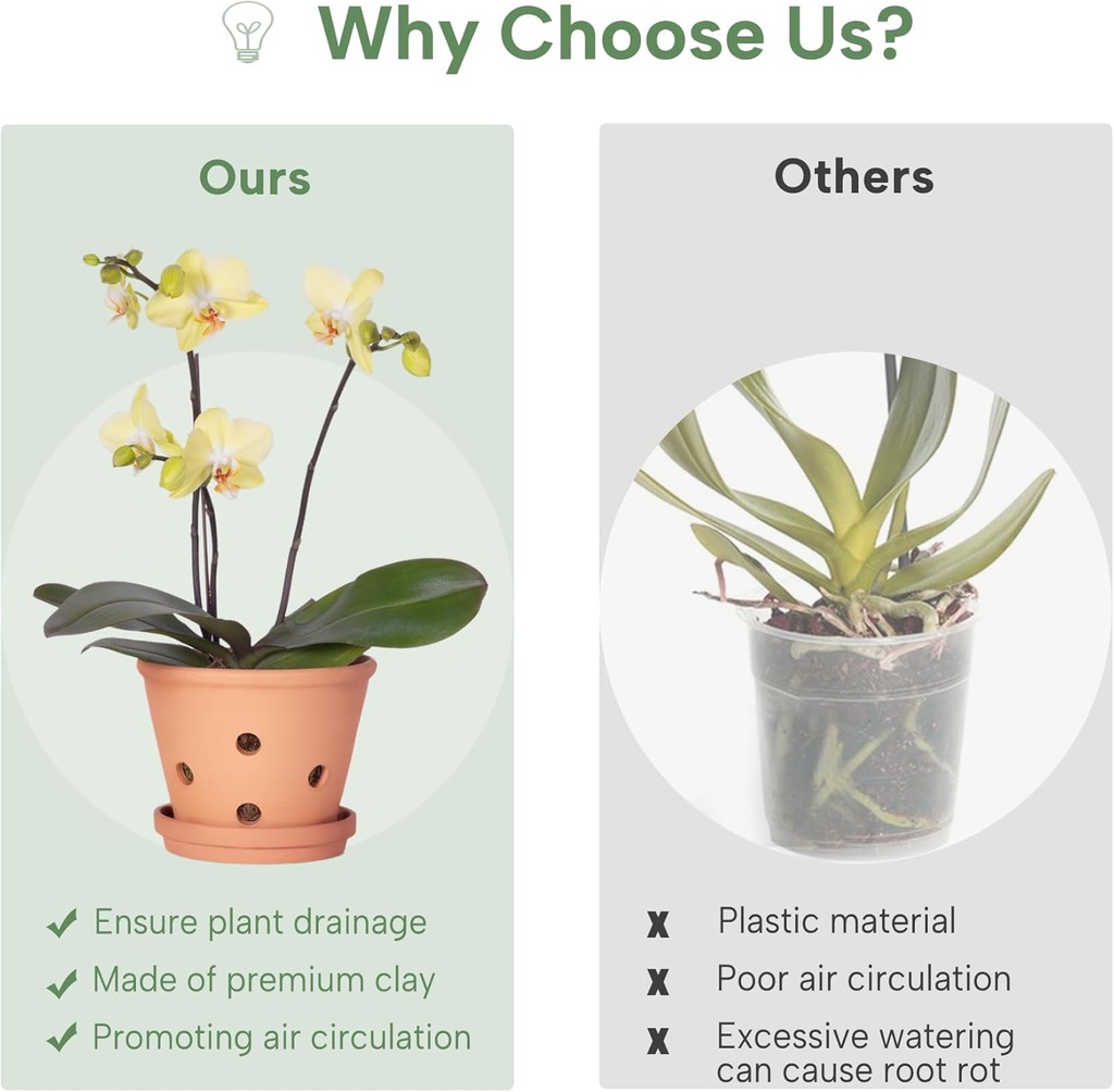 6-inch-terracotta-orchid-pots-with-holes-6.jpg