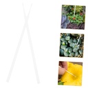 20pcs-hand-pollination-tools-essential-p-3.jpg