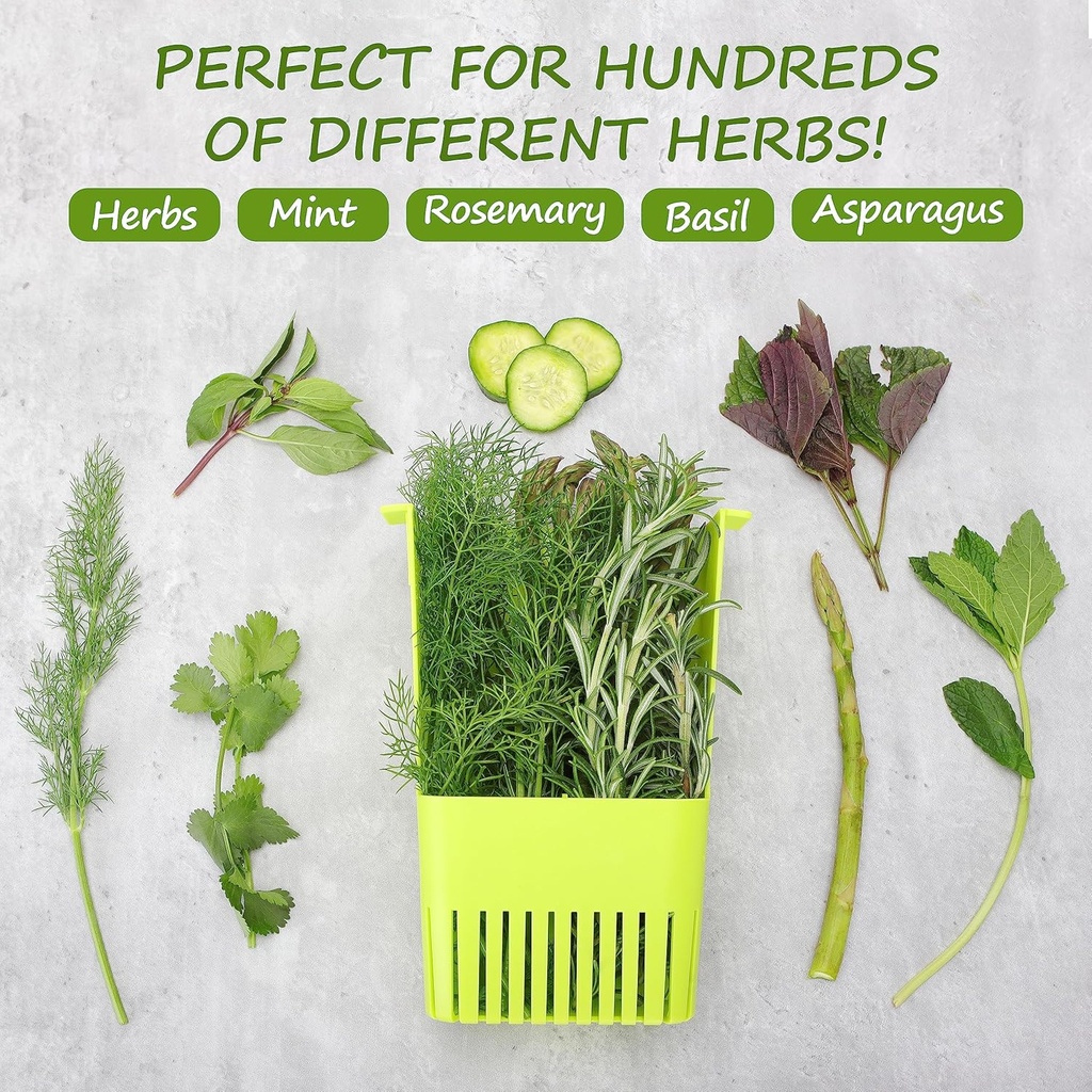 3-pack-fresh-herb-keeper-for-refrigerato-3.jpg
