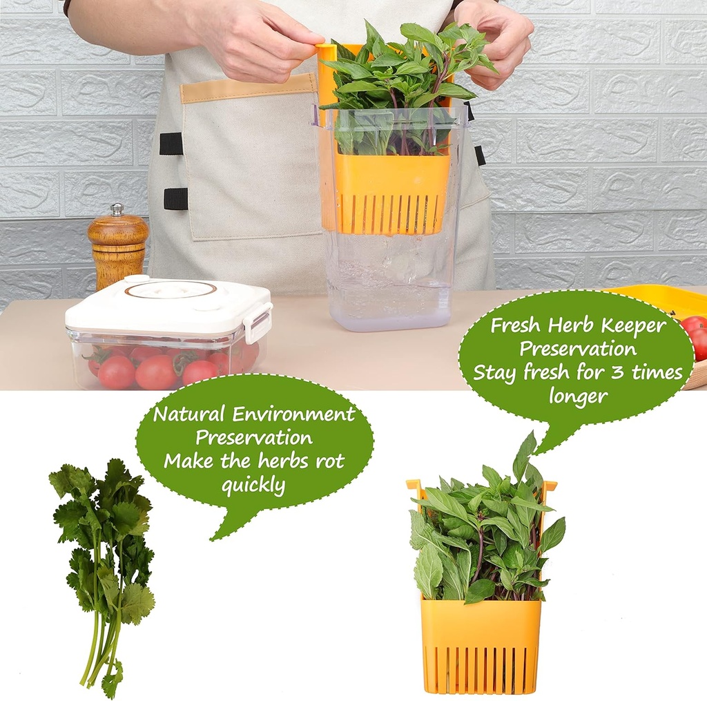 3-pack-fresh-herb-keeper-for-refrigerato-6.jpg