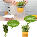 3-pack-fresh-herb-keeper-for-refrigerato-6.jpg