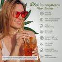 biodegradable-sugarcane-straws-150-count-2.jpg