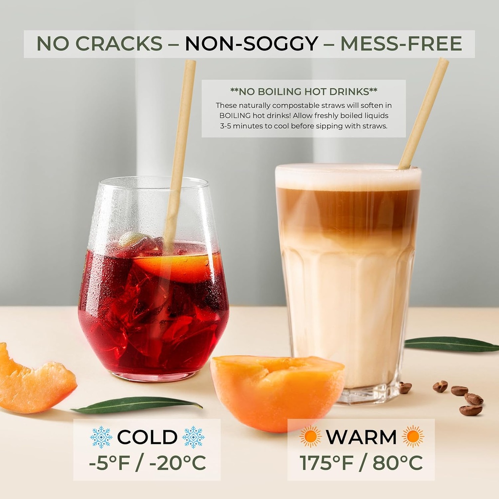 biodegradable-sugarcane-straws-150-count-4.jpg