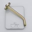 10-in-brushed-gold-shower-arm-with-flang-6.jpg