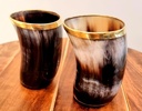 viking-small-glass-set-drinking-horn-gla-2.jpg