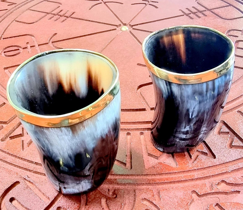 viking-small-glass-set-drinking-horn-gla-4.jpg