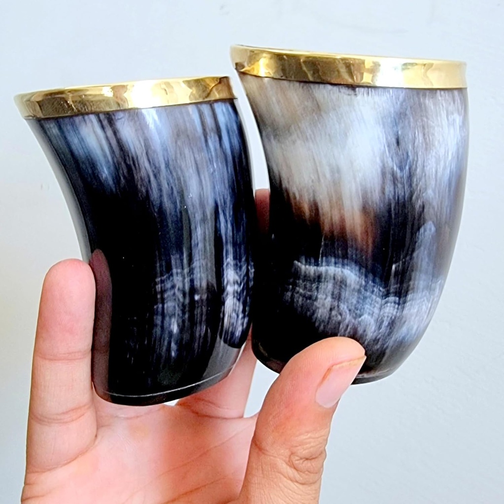 viking-small-glass-set-drinking-horn-gla-6.jpg