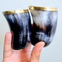 viking-small-glass-set-drinking-horn-gla-6.jpg