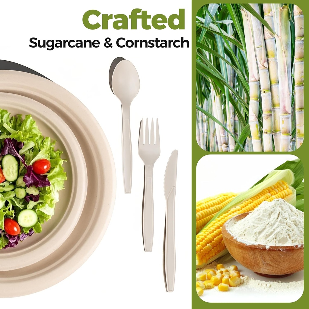 compostable-paper-plates-set---250pcs-di-3.jpg