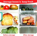 pretyzoom-fresh-keeping-organizer-box-st-5.jpg