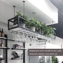 wall-mounted-wine-shelves-ceiling-wine-g-6.jpg