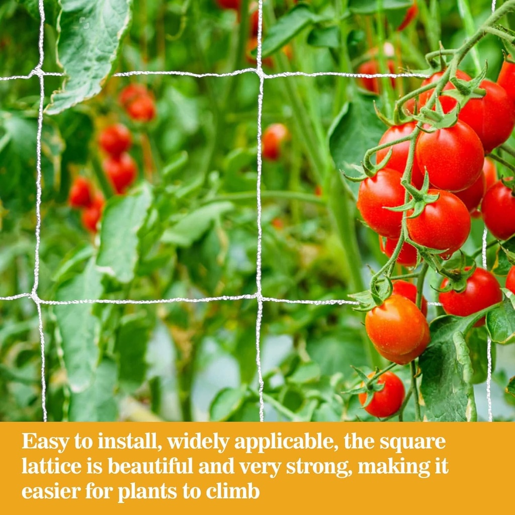 2-pcs-garden-plant-trellis-netting---suk-4.jpg