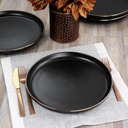 elama-paul-6-piece-stoneware-dinner-plat-6.jpg