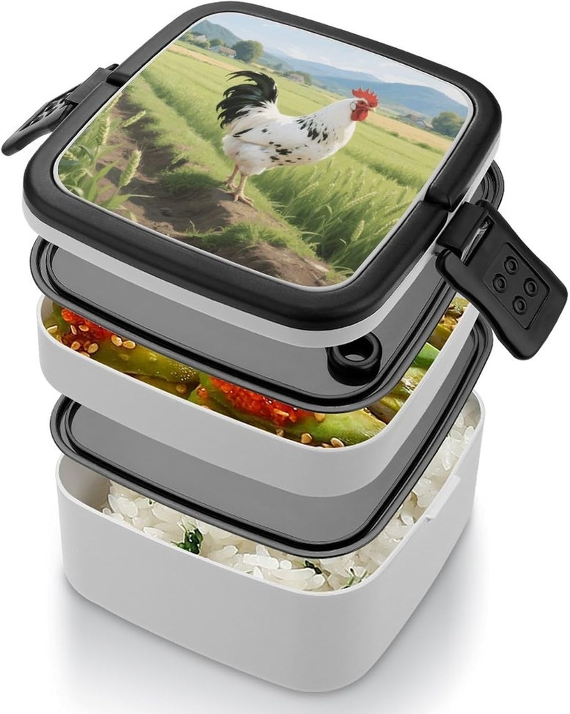 chicken-bento-box---double-layer-leakpro-4.jpg