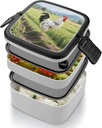 chicken-bento-box---double-layer-leakpro-4.jpg