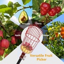 fruit-picker-pole-with-basket-telescopin-2.jpg