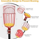 fruit-picker-pole-with-basket-telescopin-4.jpg