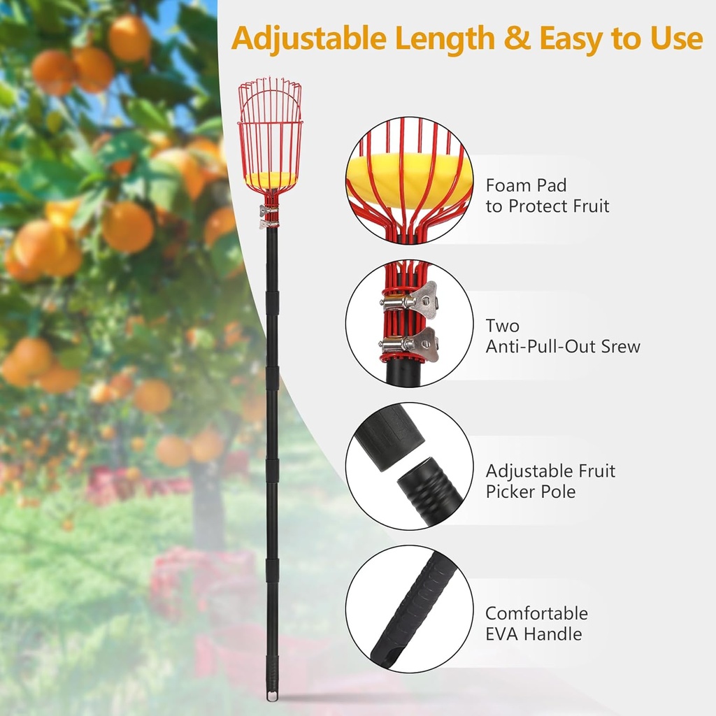 fruit-picker-pole-with-basket-telescopin-5.jpg