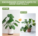 16pcs-plant-support-for-indoor-plants-pl-4.jpg