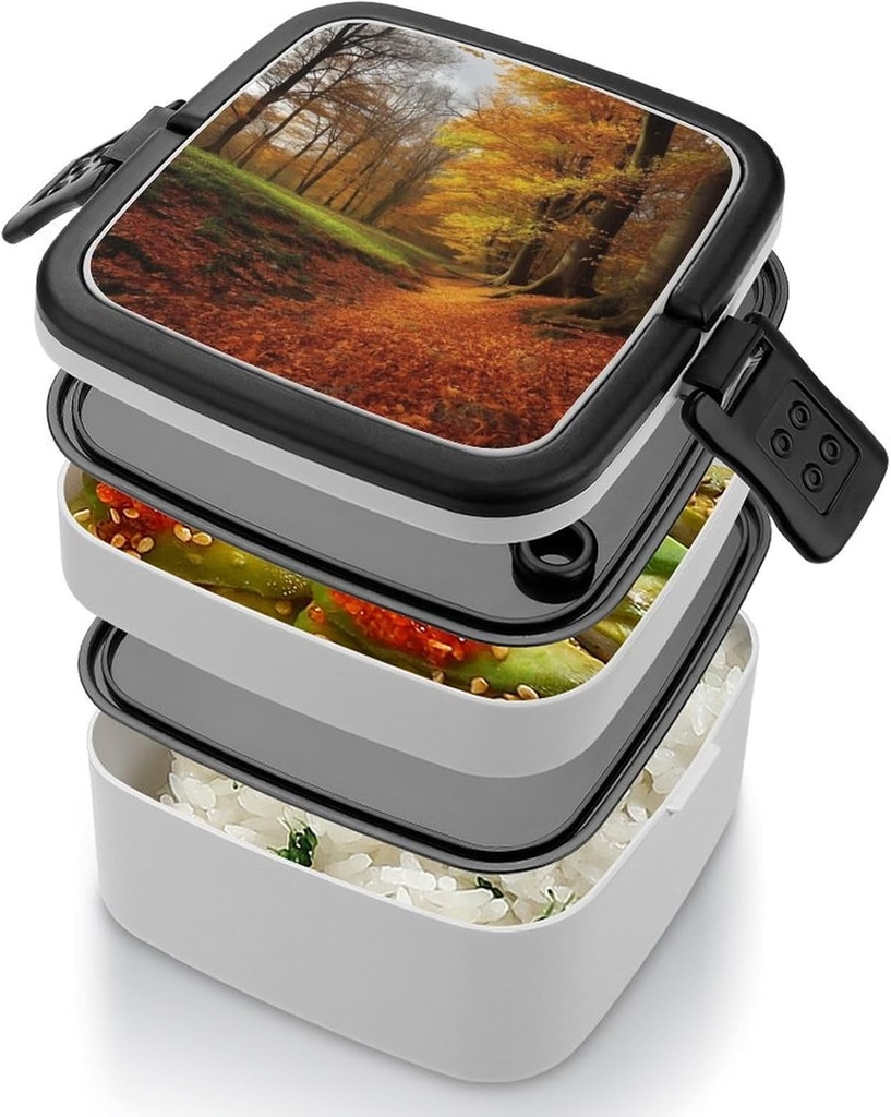autumn-bento-box-adult-lunch-box-all-in--4.jpg