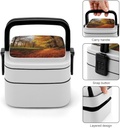autumn-bento-box-adult-lunch-box-all-in--5.jpg