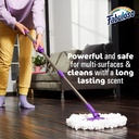 fabuloso-multi-purpose-cleaner-floor-cle-3.jpg