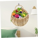 ciieeo-2pcs-woven-hanging-wall-baskets-r-6.jpg