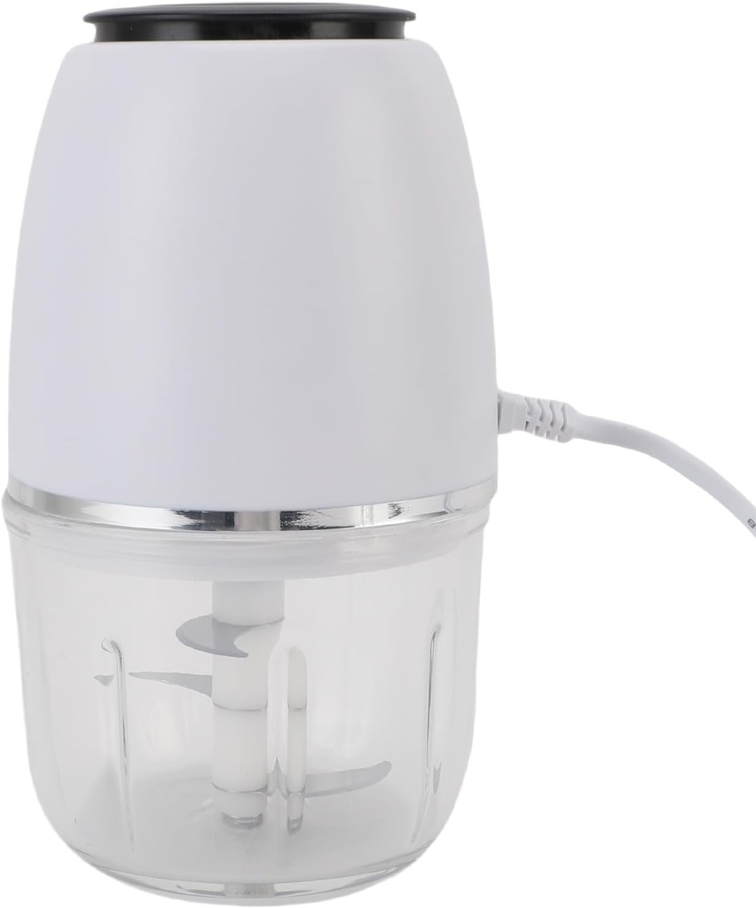 diyeeni-portable-food-processor-safe-300-3.jpg
