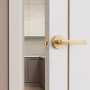 brushed-brass-door-handles---door-handle-3.jpg