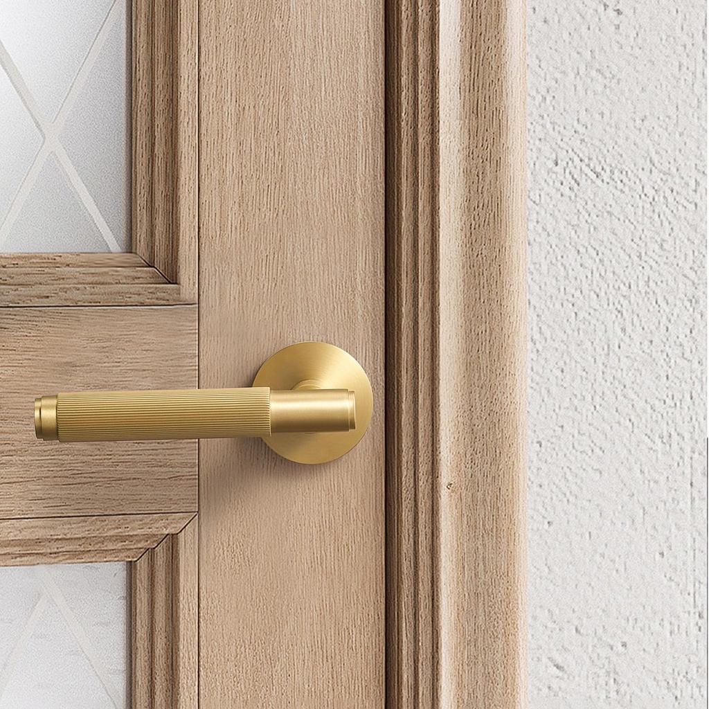brushed-brass-door-handles---door-handle-4.jpg
