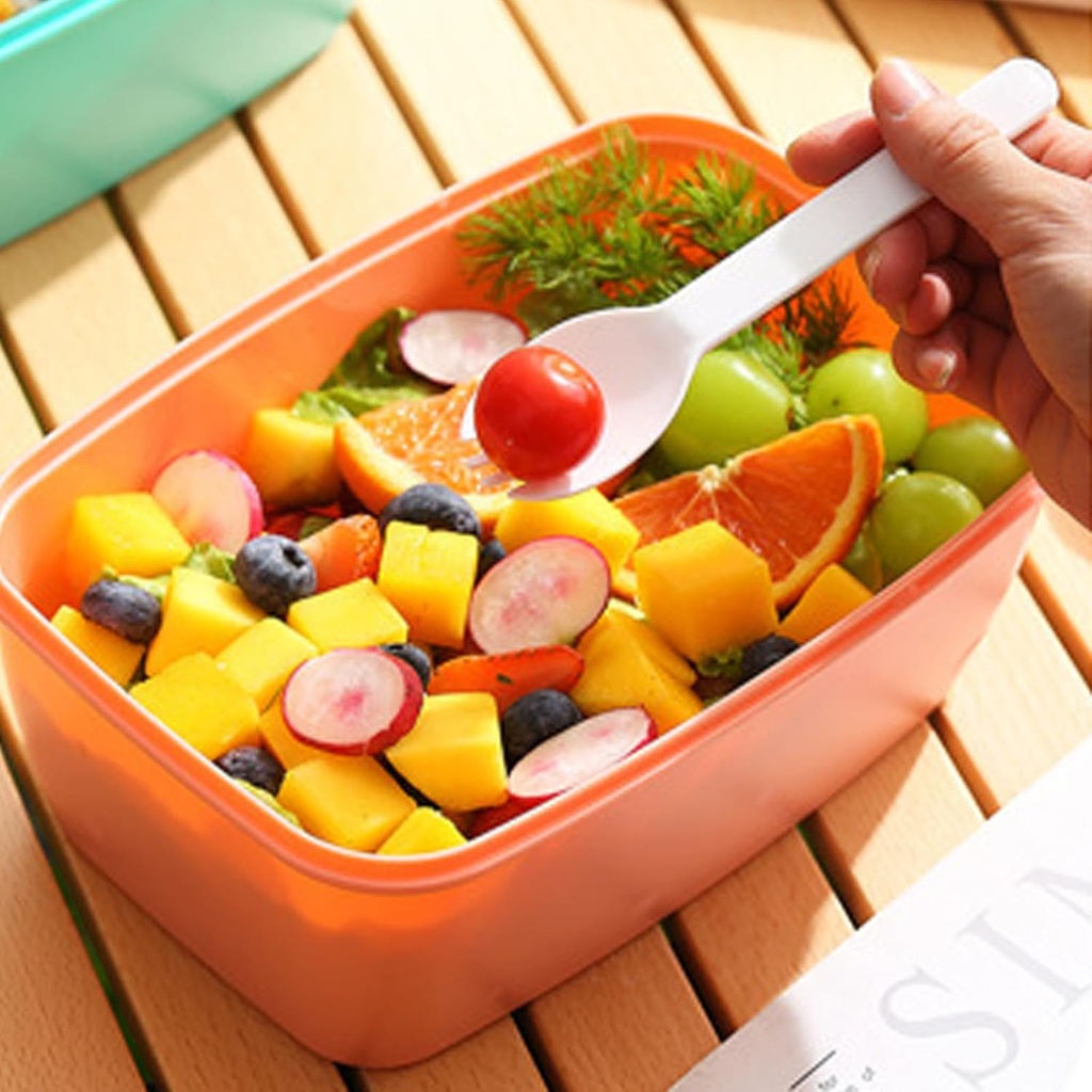 large-salad-bento-box-lunch-salad-box-5--6.jpg