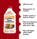 spectracide-weed-and-grass-killer-concen-2.jpg