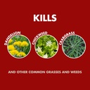 spectracide-weed-and-grass-killer-concen-3.jpg