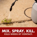 spectracide-weed-and-grass-killer-concen-4.jpg